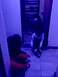 IMG 4379