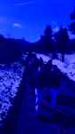 7385e79c dcfa 4689 9ecc d773e4e3b7fd