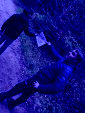 IMG 0633