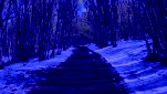 0962643e 64cc 4617 9283 d197803a759c