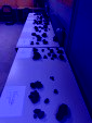 IMG 0572