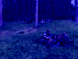 IMG 0455