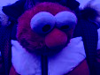 IMG 0580