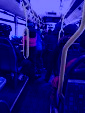 IMG 4195