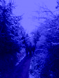 a9a39c3d 93f9 48f2 a48f ec5028c76bd0