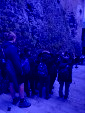 IMG 0461