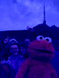 IMG 0521