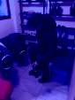 IMG 9137
