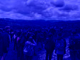 IMG 0457