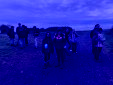IMG 0579