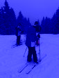 IMG 4461