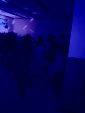 IMG 4449