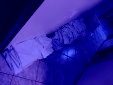 IMG 4167