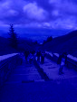 IMG 0520