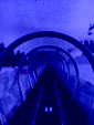 Le tapis sous le tunnel.