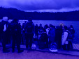 IMG 4937