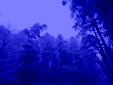 fe60061f 2e2e 46d2 91ee 7fb81a178ad3