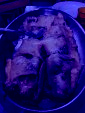 Tartiflette !