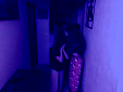 IMG 9134