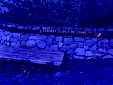 IMG 0502