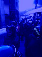 IMG 9081