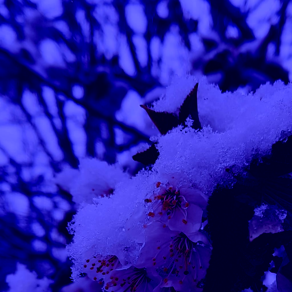 75f28b51 2104 4111 87b3 bcbe9283348d