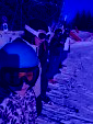 IMG 9276