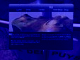 IMG 0778