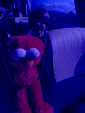 IMG 0433