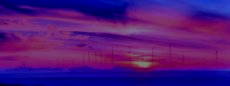 La brume se dissipe 