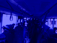 IMG 4136