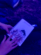 IMG 0553