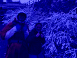IMG 5068