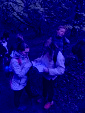 IMG 0594