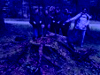 IMG 0617