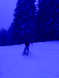 IMG 4462