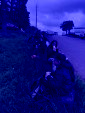 IMG 0454