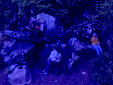 IMG 0438