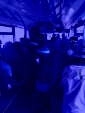 IMG 4453