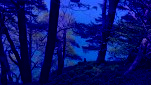 99e2dcae 1f3b 466e 86f7 f0536201a957