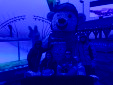 IMG 9380