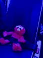 IMG 0496
